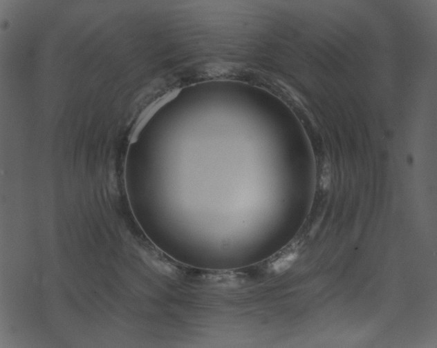 X0000071770524200606301158