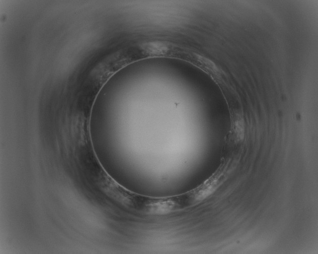 X0000071770525200606301158