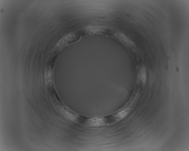 X0000071770526200606301158