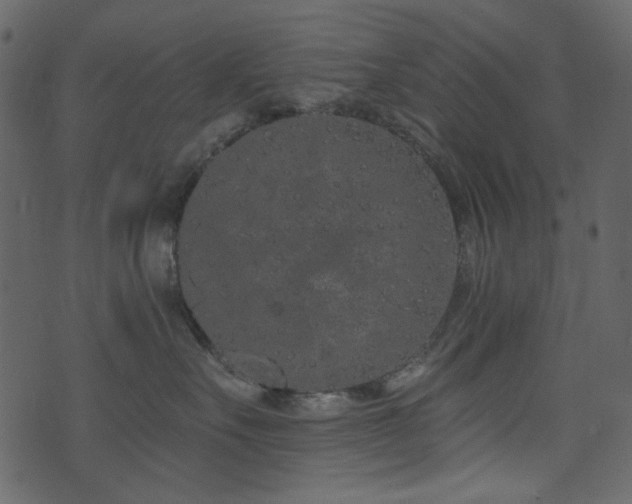 X0000071770527200606301158