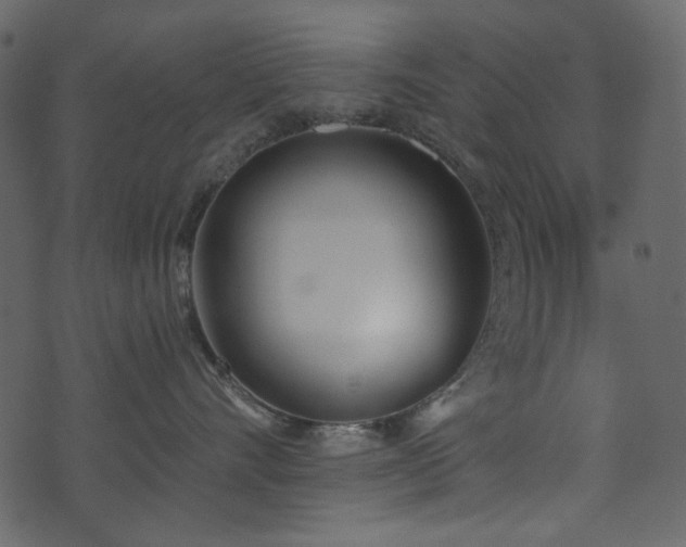 X0000071770528200606301158