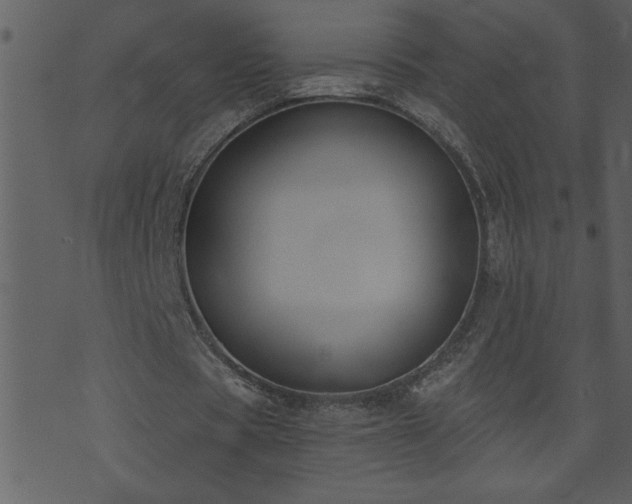 X0000071770529200606301157