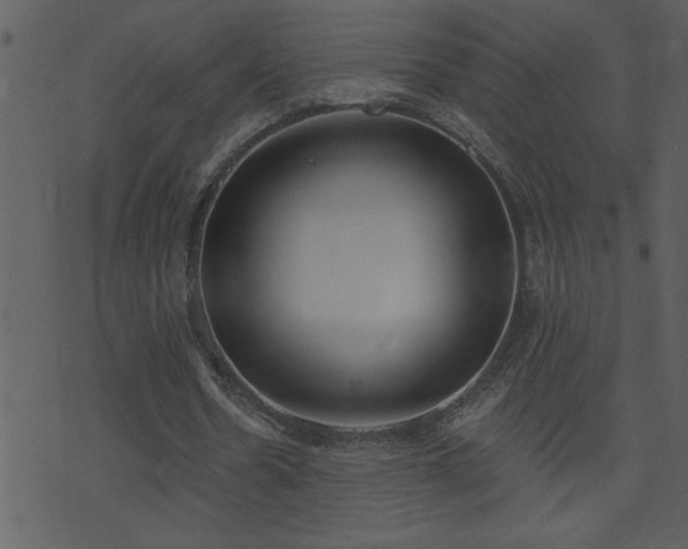 X0000071770530200606301157