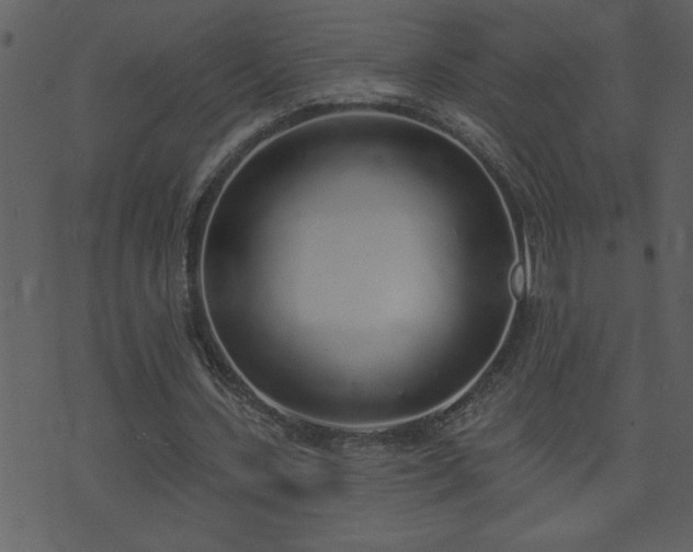 X0000071770531200606301157