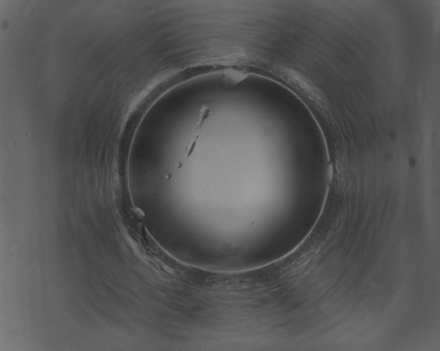 X0000071770532200606301157