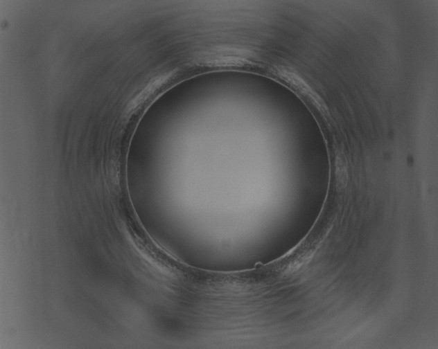 X0000071770533200606301157