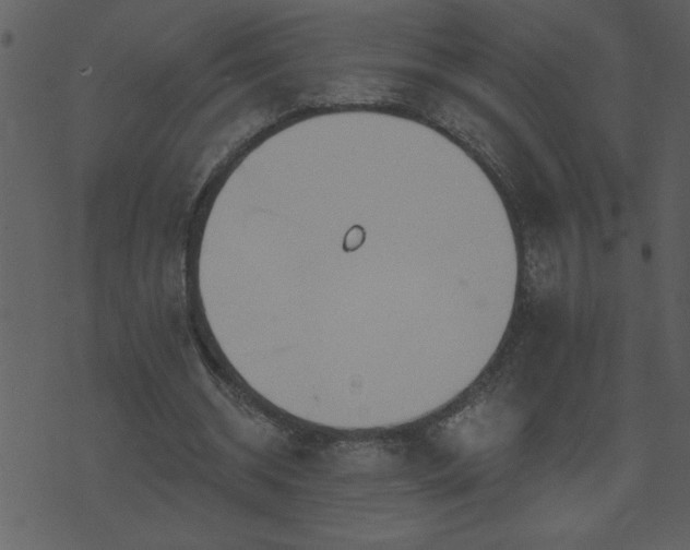 X0000071770534200606301157