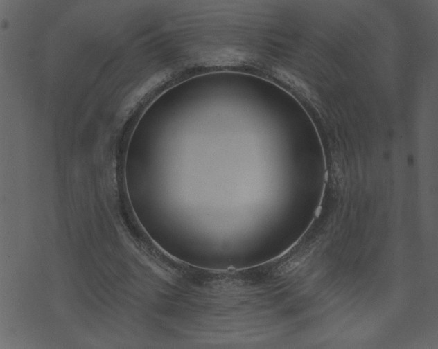 X0000071770535200606301157