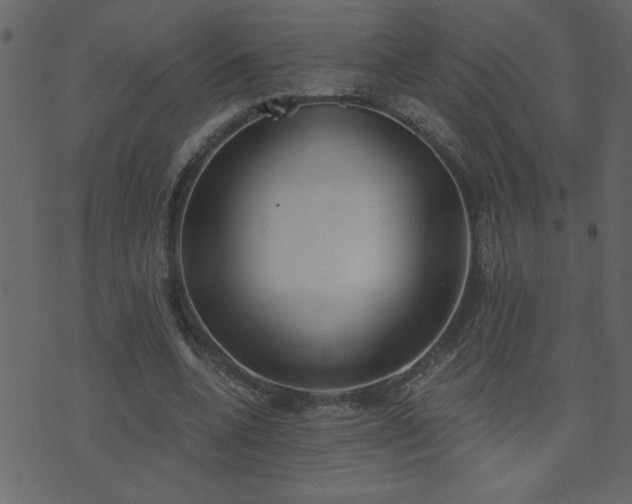 X0000071770536200606301157