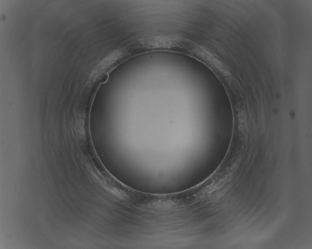 X0000071770537200606301157