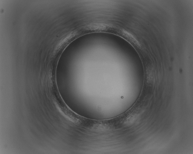 X0000071770538200606301157