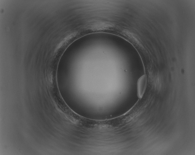 X0000071770539200606301158