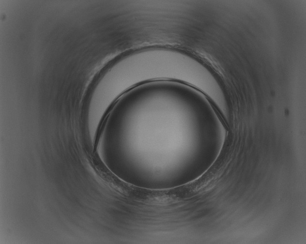 X0000071770540200606301158