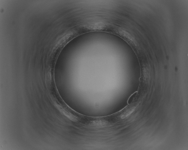 X0000071770541200606301158