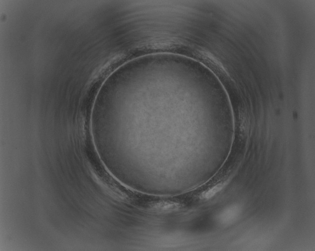 X0000071770542200606301158