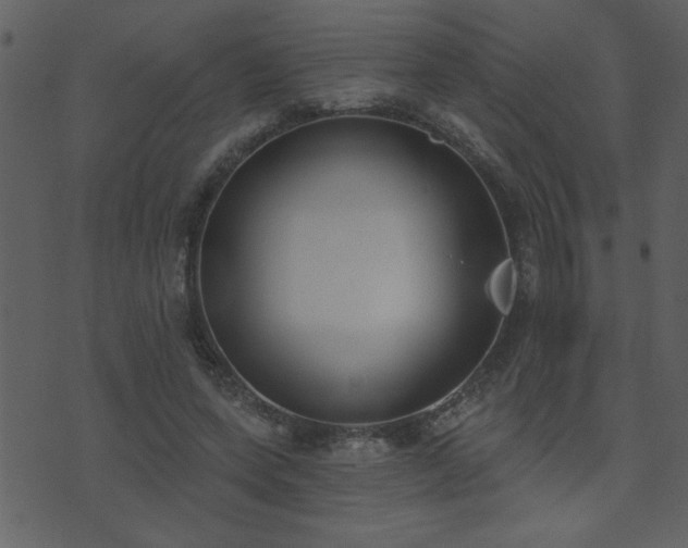 X0000071770543200606301158