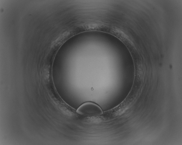 X0000071770545200606301158