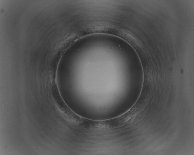 X0000071770546200606301158