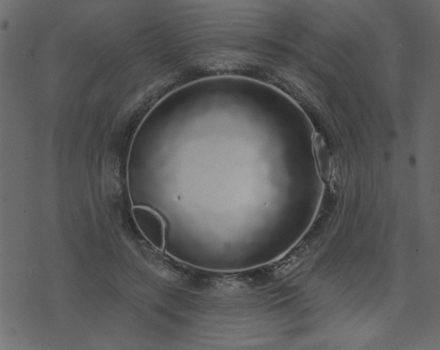 X0000071770547200606301158