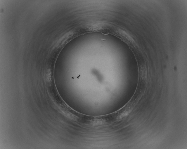 X0000071770549200606301158