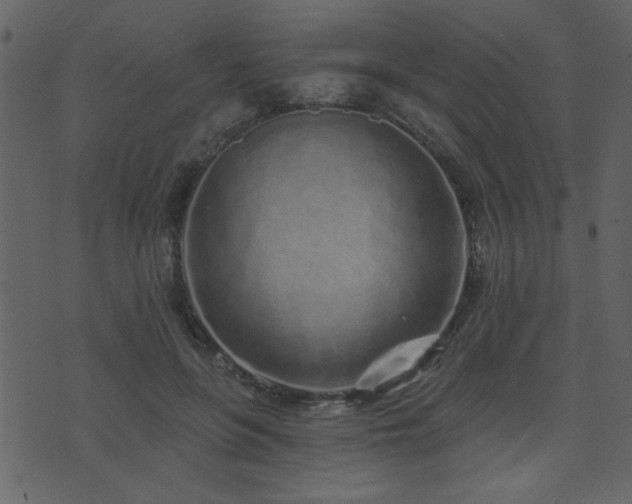 X0000071770551200606301158