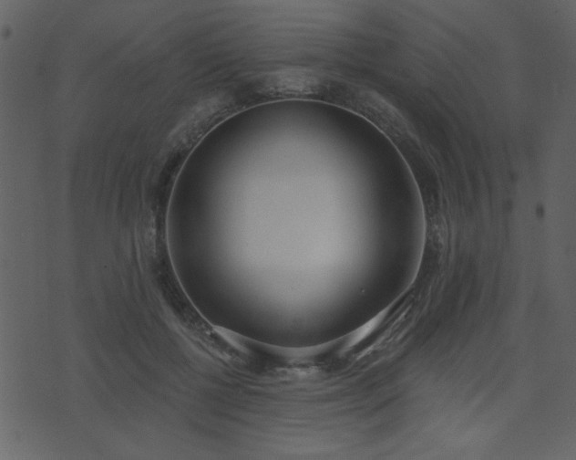 X0000071770552200606301158