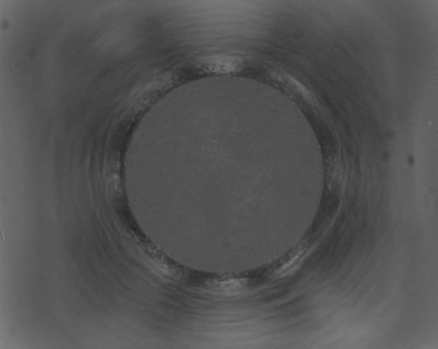 X0000071770553200606301158