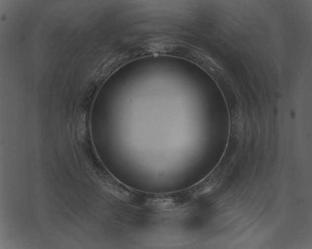 X0000071770554200606301158