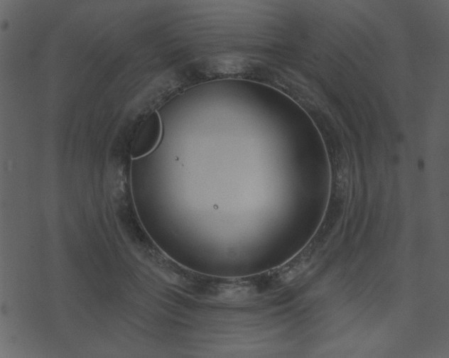 X0000071770555200606301158