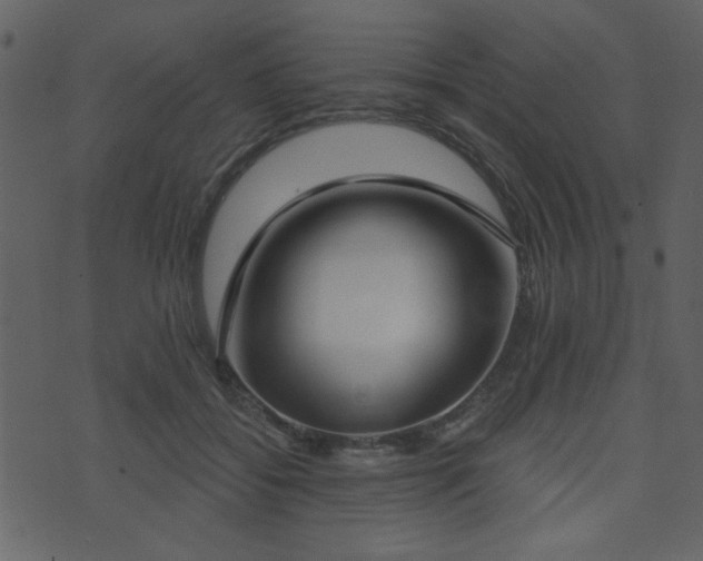 X0000071770556200606301158