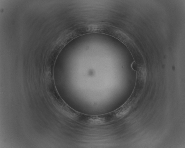 X0000071770557200606301158