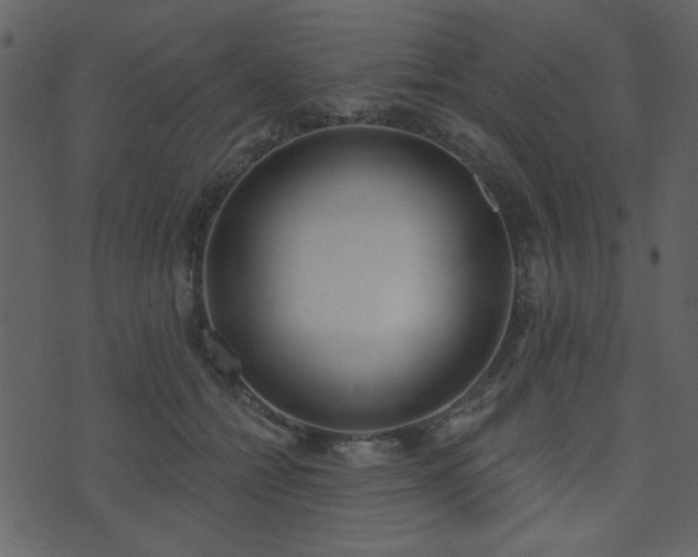 X0000071770558200606301158