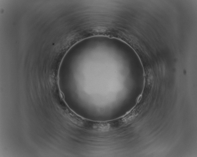 X0000071770559200606301158