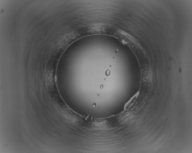 X0000071770560200606301158