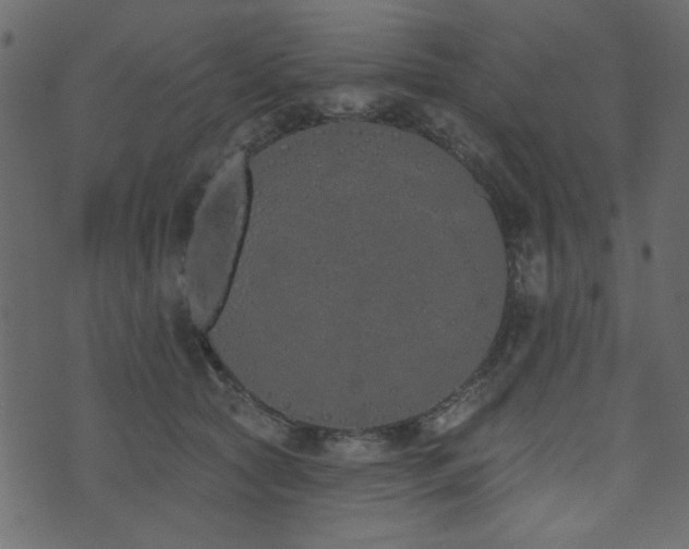 X0000071770561200606301158