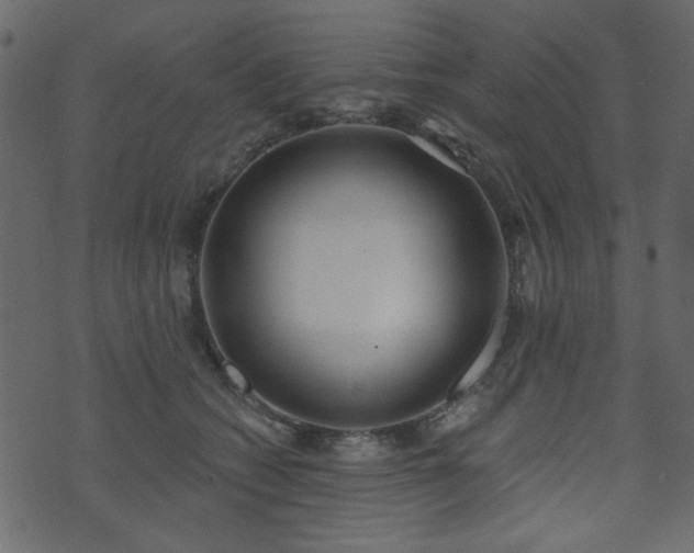 X0000071770562200606301158