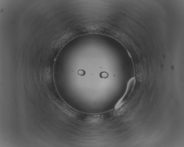 X0000071770563200606301158