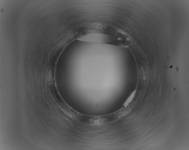 X0000071770564200606301158