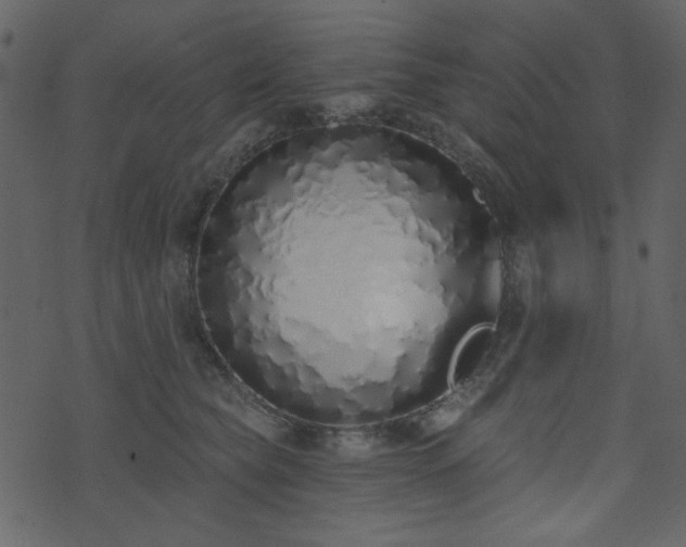 X0000071770565200606301158