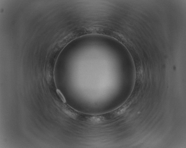 X0000071770566200606301158