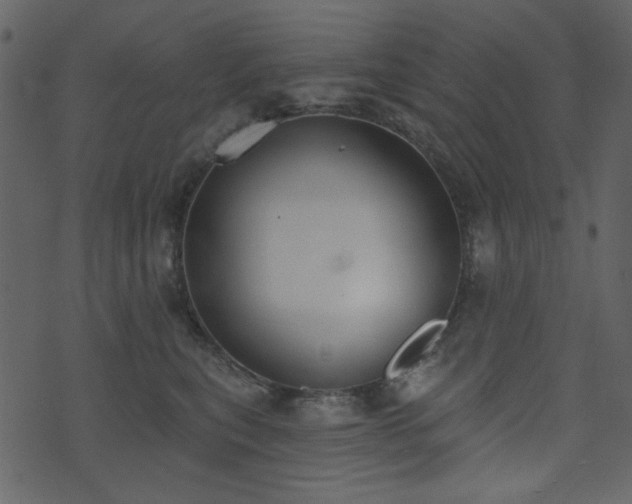 X0000071770567200606301158