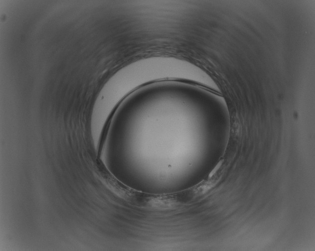 X0000071770568200606301158