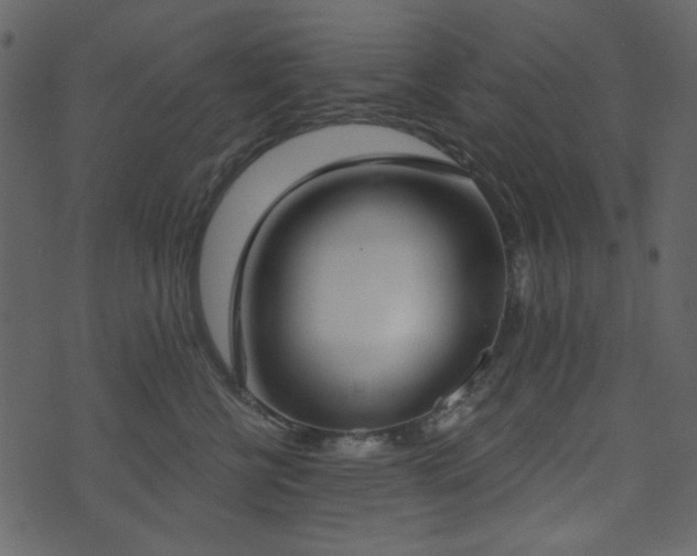 X0000071770570200606301158