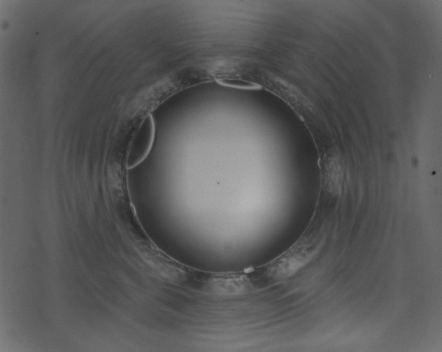 X0000071770571200606301158