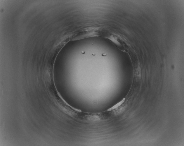 X0000071770572200606301158