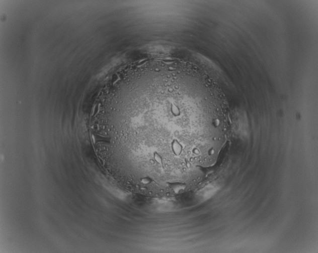 X0000071770573200606301158