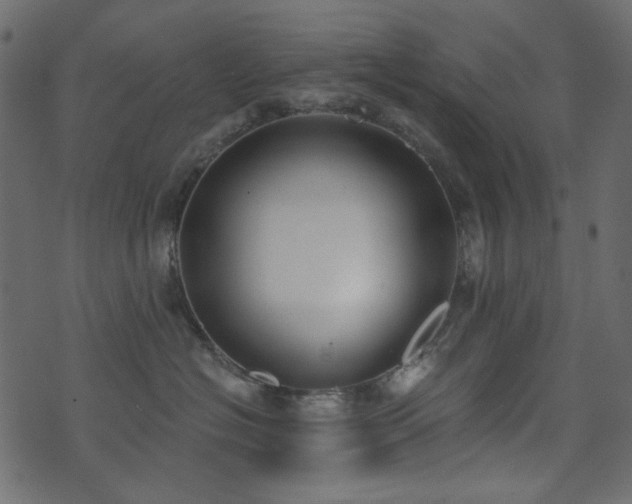 X0000071770574200606301158