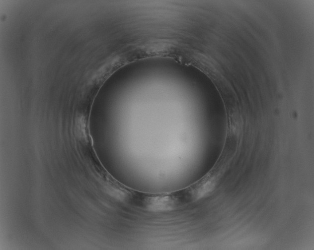 X0000071770575200606301158