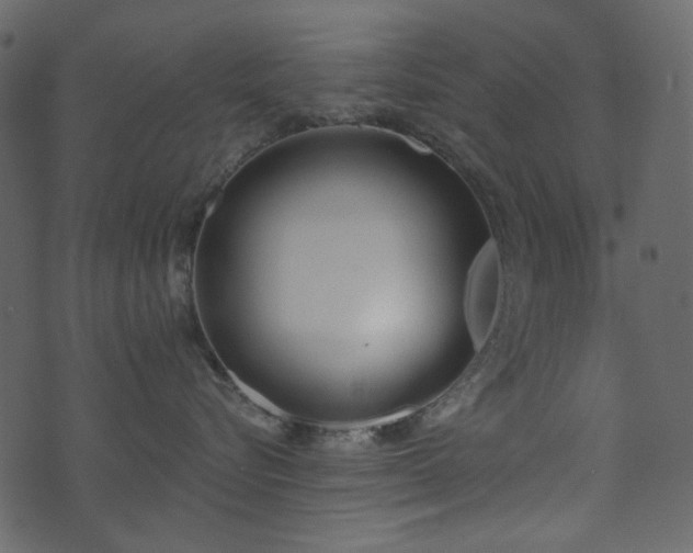 X0000071770576200606301158