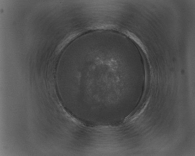 X0000071770577200606301157